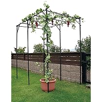 Amazon | DAIM パーゴラ 果物棚 セット 幅120cm 奥行180cm 高さ180cm Amazon | DAIM パーゴラ 果物棚 セット 幅120cm 奥行180cm 高さ180cm